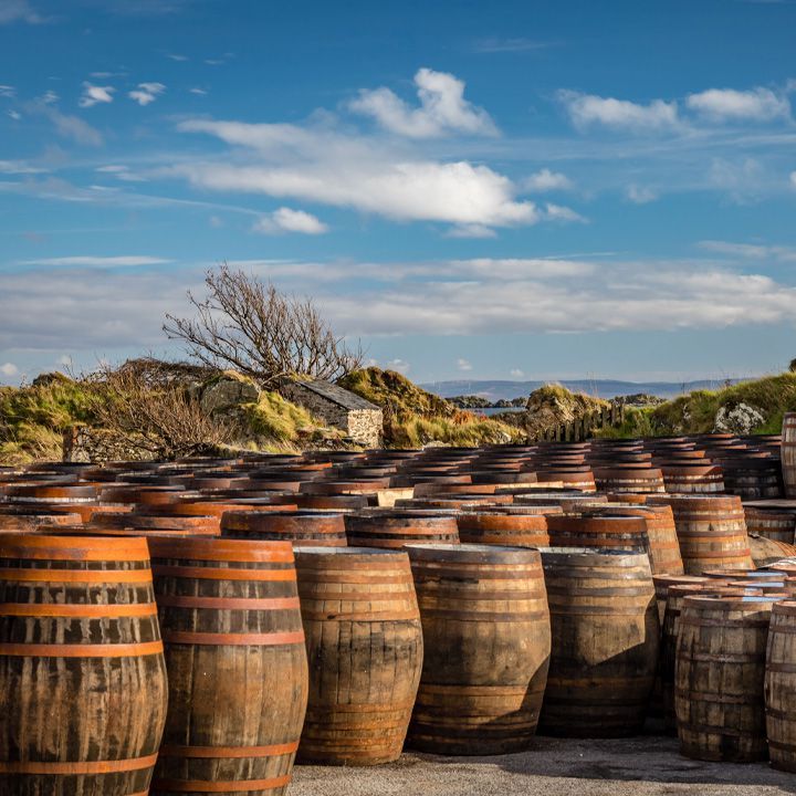 група бъчви с шотландско уиски на открито в Шотландия
